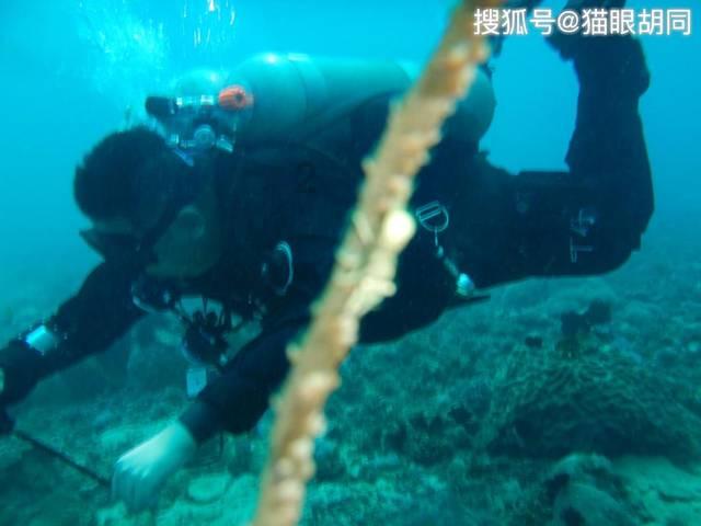 数字计算游戏